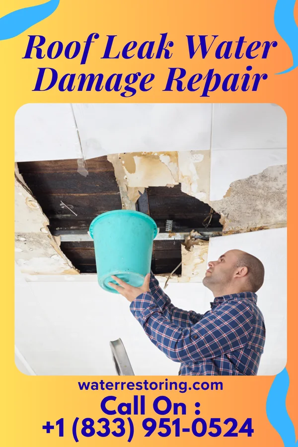 Roof Leak Water Damage Repair in Estero, FL